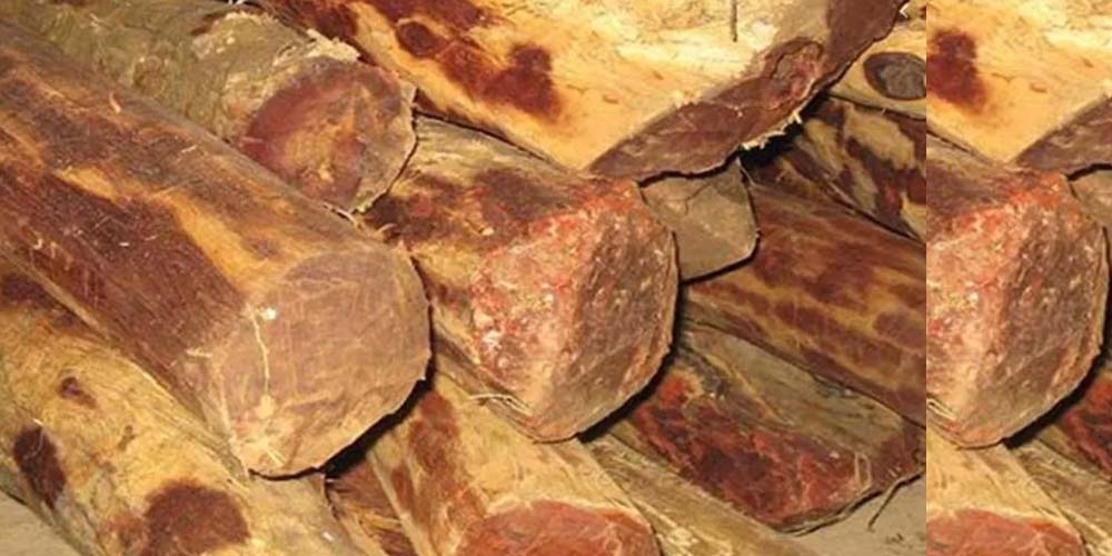 सड्न थाल्यो रक्तचन्दन