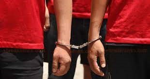 हजुरआमाको हत्या आरोपमा नातिसहित चार जना पक्राउ