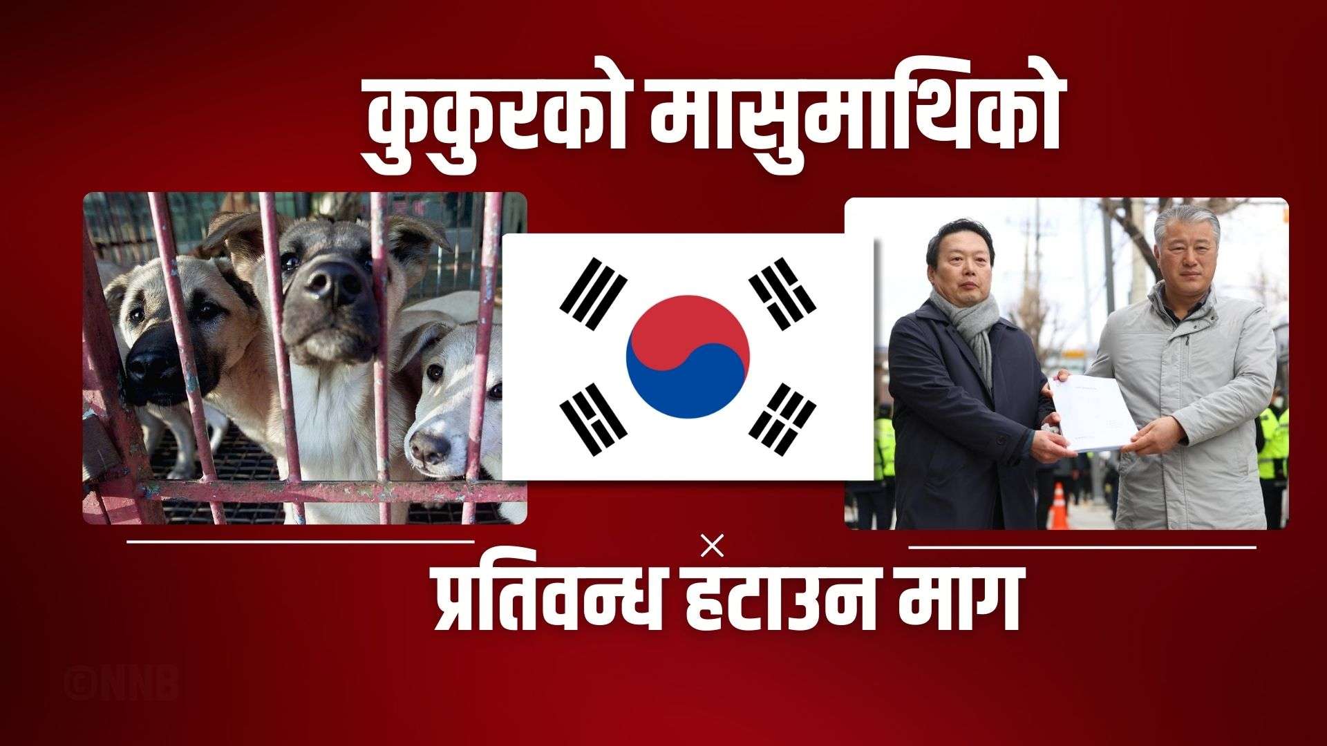 दक्षिण कोरियाः कुकुरको मासुमाथिको प्रतिवन्ध हटाउन माग