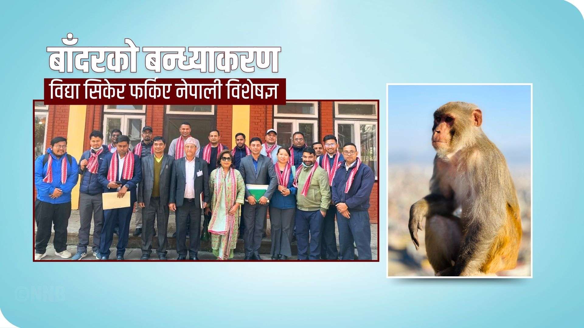 बाँदरको बन्ध्याकरण विद्या सिकेर फर्किए नेपाली विशेषज्ञ