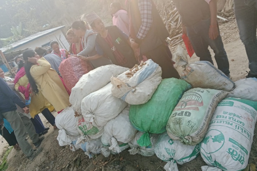 बेसार प्रवर्द्धन गर्दै इलामको माङसेबुङ: उत्पादन र बजारीकरणका लागि १३ बुँदे सम्झौता