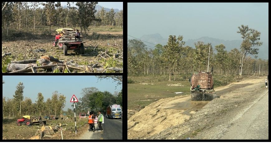 एसियाली राजमार्ग निर्माण : पहिलो चरणमा झापाको कमल गाउँपालिका देखि इटहरी सम्मको पश्चिम खण्डमा रुख कटान सुरु