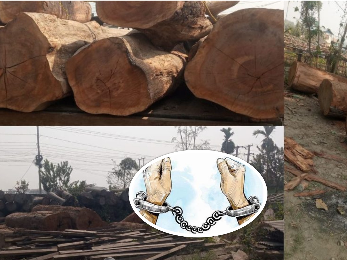 तरहराको जङ्गलबाट काठ तस्करी : सामुदायिक वनका अध्यक्ष पक्राउ, उपाध्यक्षसहित ३ जनाविरुद्ध पक्राउ पुर्जी जारी