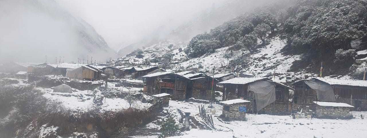 उच्च हिमाली भेगमा हिमपात