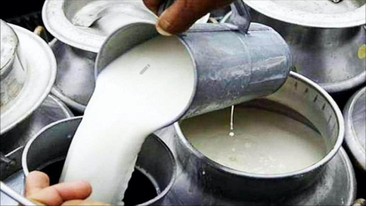 किसानलाई भुक्तानी गर्न नसक्ने डिडिसी नाफामा