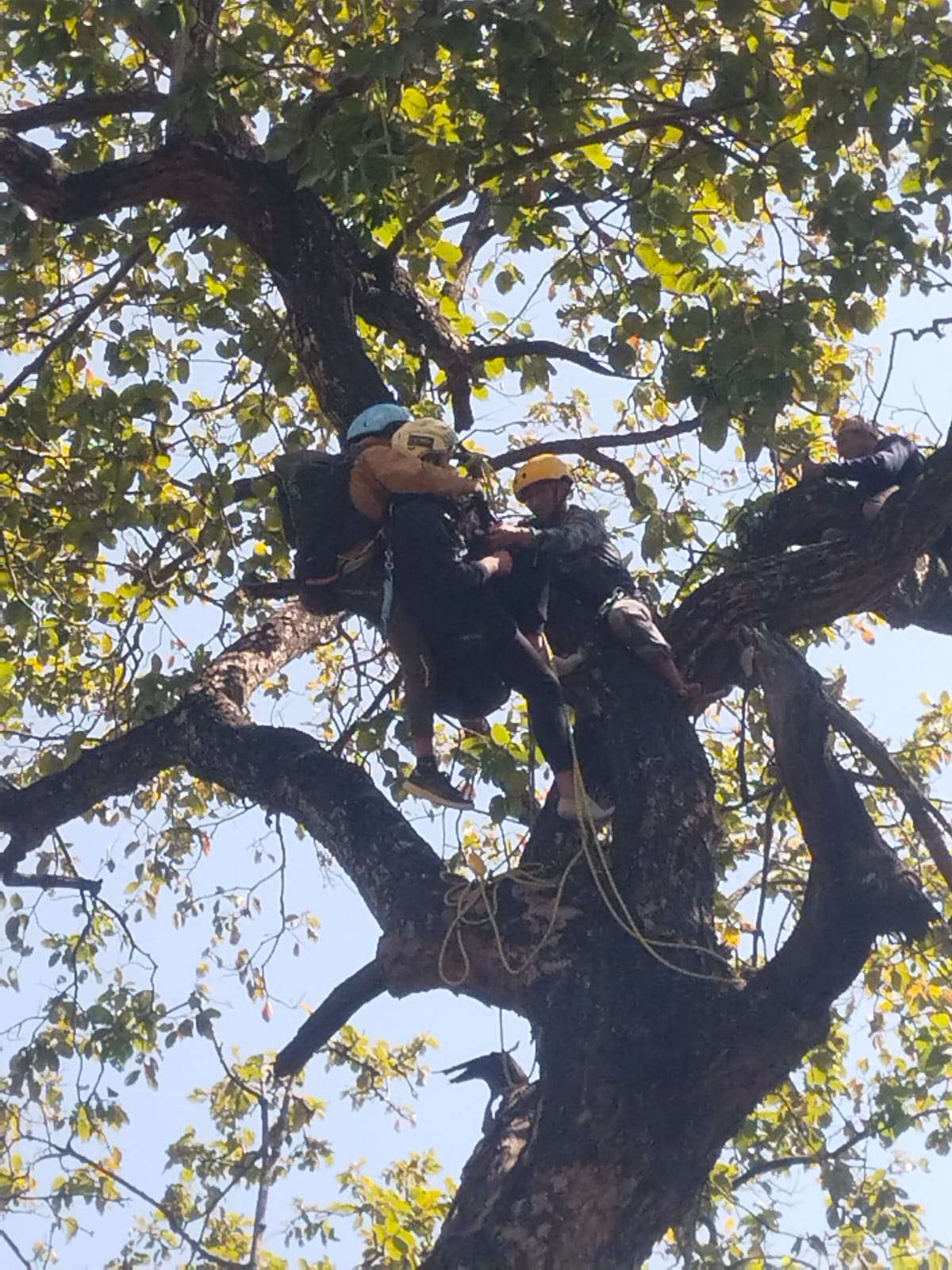 उदयपुर : रुखमा अड्किएका दुई प्याराग्लाइडरको उद्धार