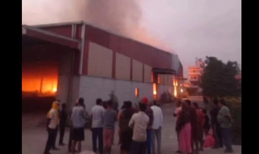 झापाको प्लाई उद्योग आगलागी शंकास्पद- बिमा कम्पनी डुबाउने दाउ
