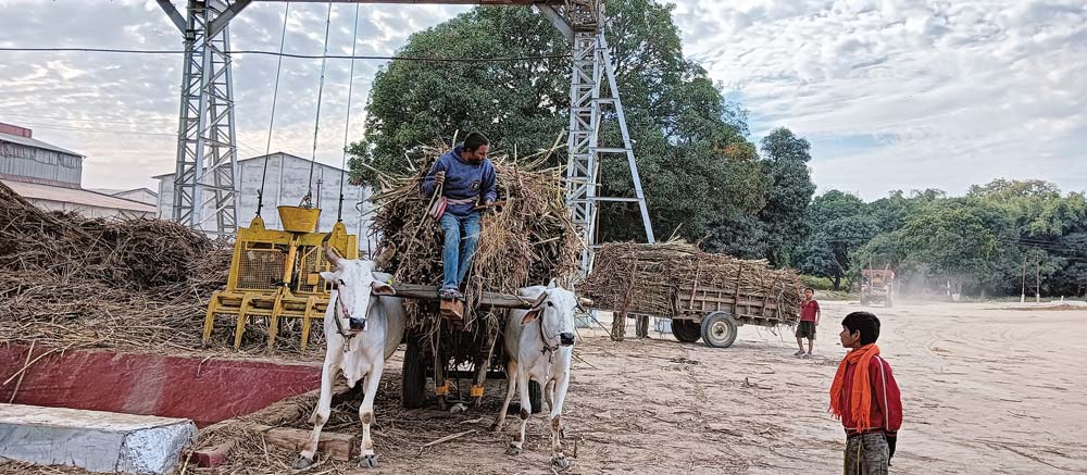 उखु अभावमा चिनी मिल बन्द