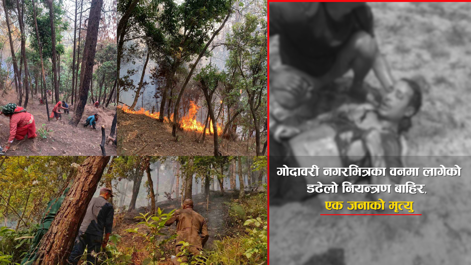 गोदावरी आसपासको जंगलमा लागेको डढेलो नियन्त्रण बाहिर, एक जनाको मृत्यु