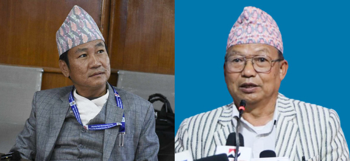 इलाममा डकेन्द्रसिंह थेगिमले जित्छन्, अरु सबै उम्मेदवार बच्चा हुन् : हर्क साम्पाङ