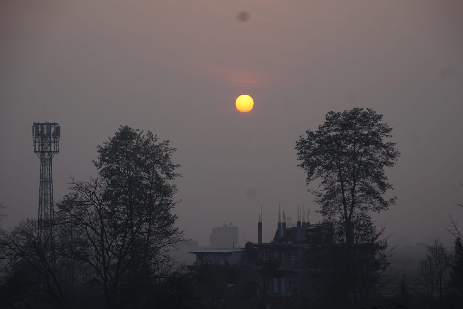 नयाँ वर्षको जेठो दिन