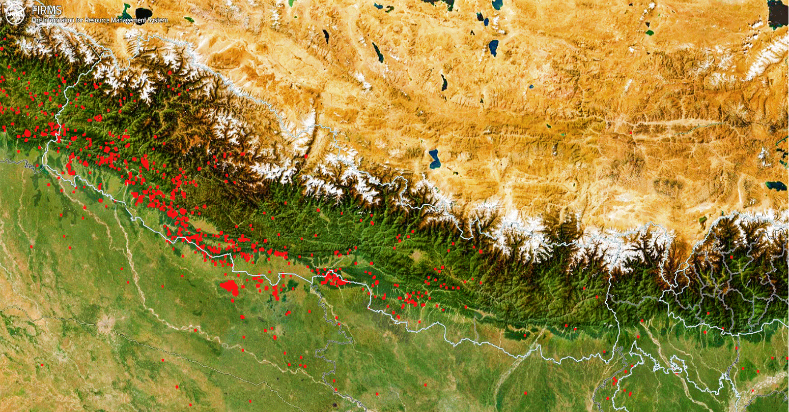 डोल्पामा डढेलोले सातामै लियो ६ को ज्यान