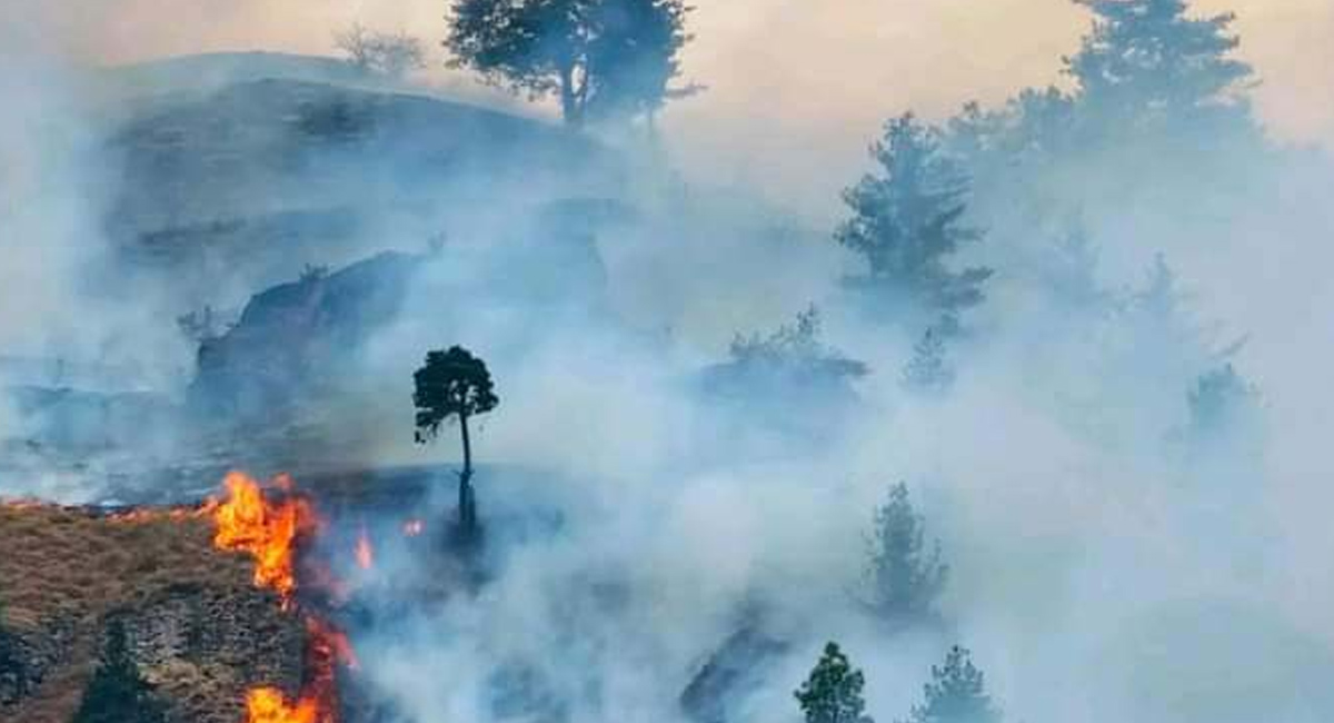 नियन्त्रणबाहिर आगलागी र डढेलो,१४ दिनमा १० जनाको मृत्यु, ४६३ घर पूर्ण रूपमा ध्वस्त, ९४४ परिवार विस्थापित