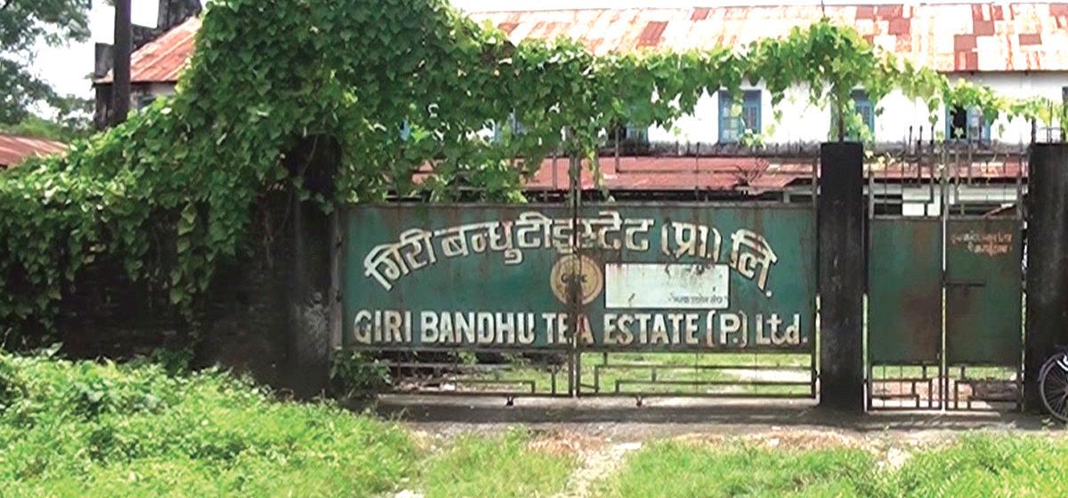 गिरीबन्धुको ‘प्लटिङ’ मा घडेरी लिन बैना बुझाएका तनावमा