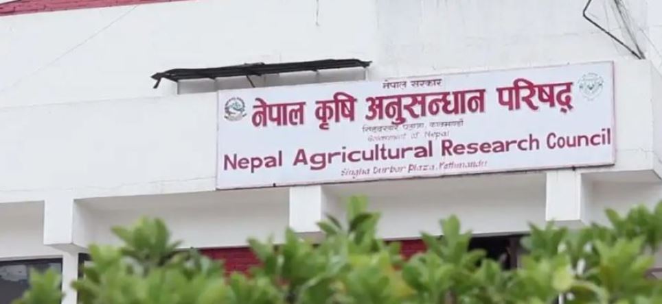 नार्कमा जनशक्ति अभाव