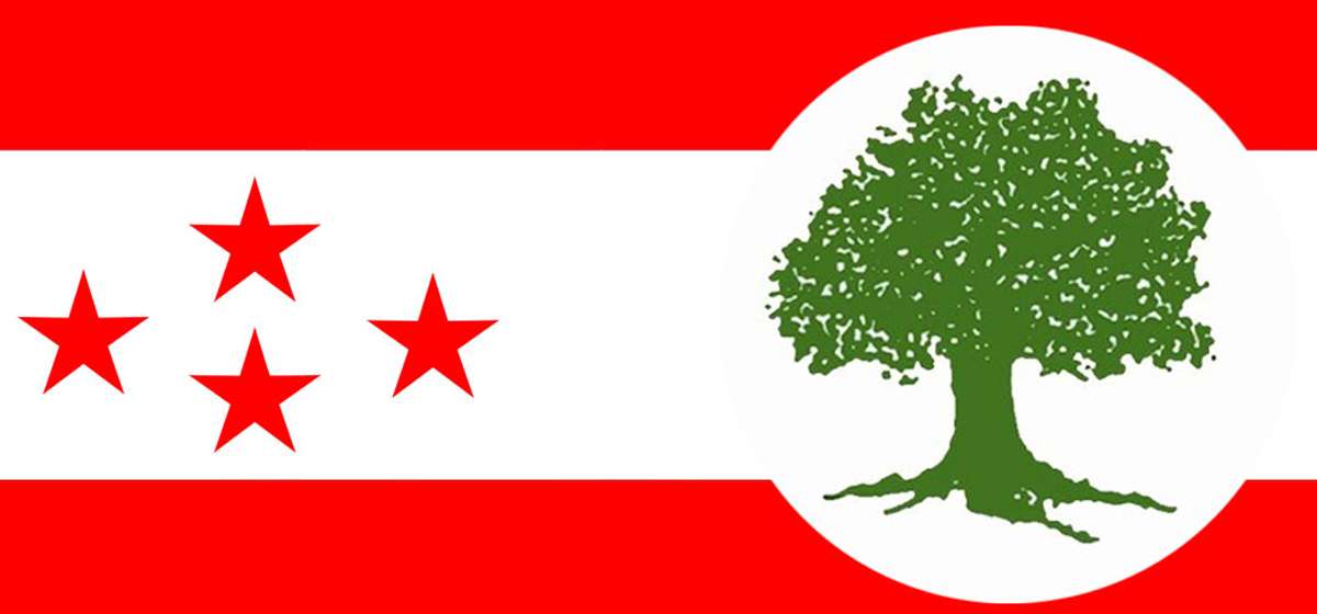 भ्रातृ सङ्घहरूको महाधिवेशन सम्पन्न गर्न/गराउन कांग्रेसद्वारा निर्देशक समिति गठन