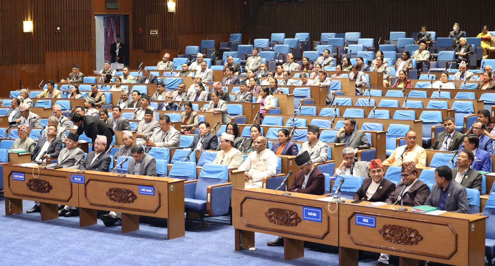 संसद दिवस : दलीय हस्तक्षेपले निरिह बन्दै जनप्रतिनिधि
