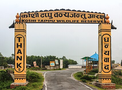कोशी टप्पु वन्यजन्तु आरक्षबाट ४० लाख राजस्व सङ्कलन