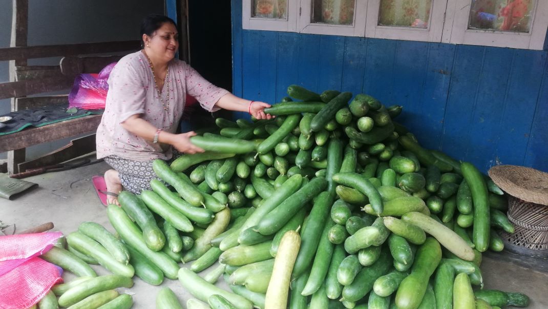 तरकारी खेतीबाटै लाखौँ कमाउँदै किसान