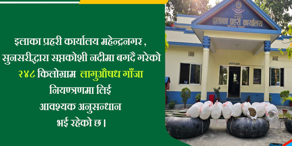 सुनसरीमा दुई सय ४८ केजी गाँजा बरामद