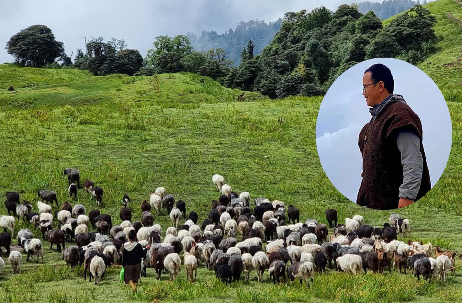 पढाइ स्नातकोत्तर, काम भेडा चराउने 