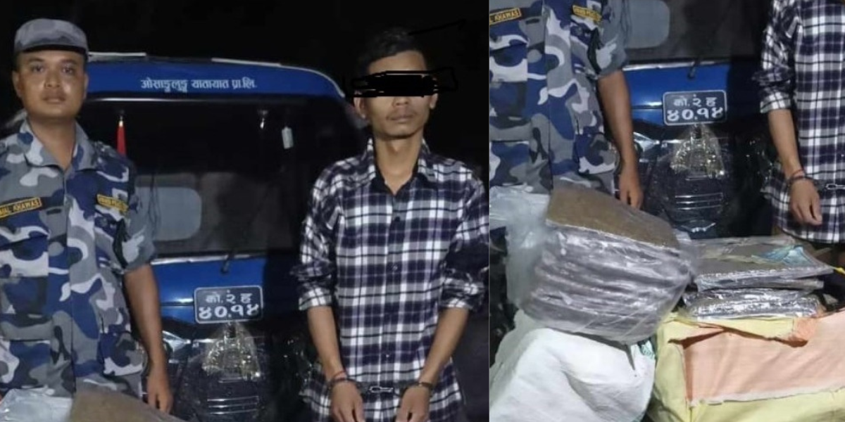 मोरङबाट १ क्वीन्टल बढी गाँजा बरामद