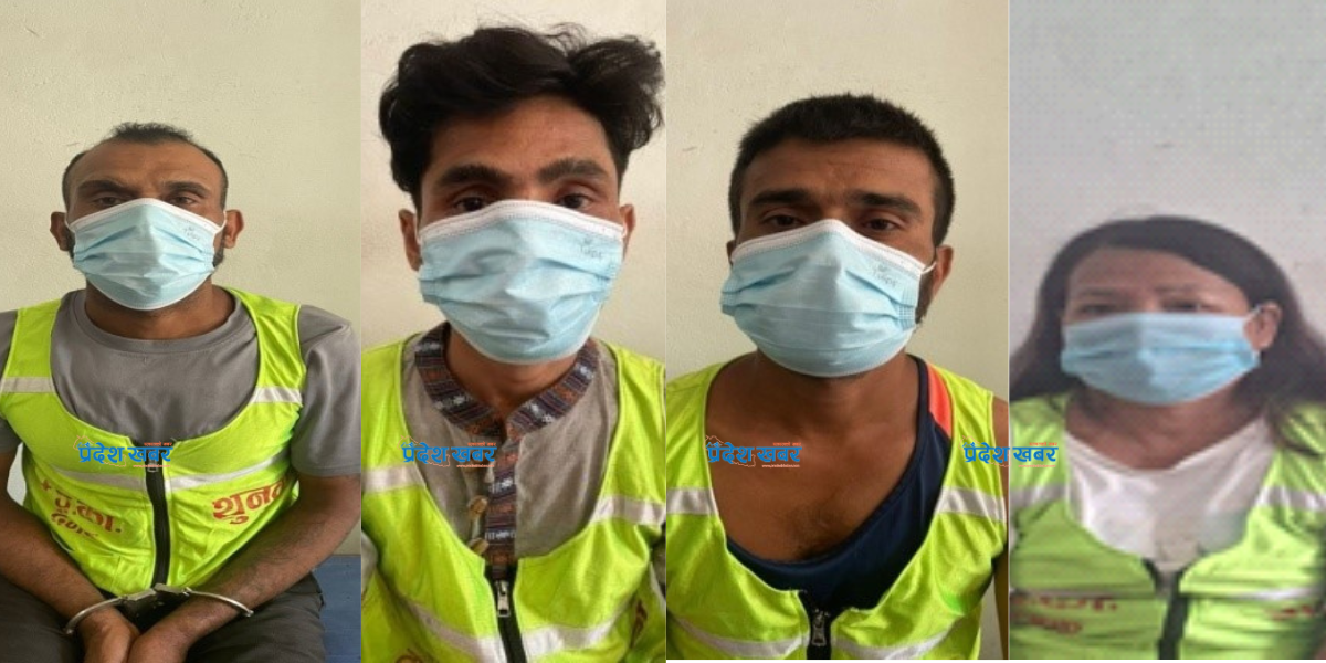 गोठमा बाँधेको गाई चोरेर काट्ने चार जना दमकबाट पक्राउ