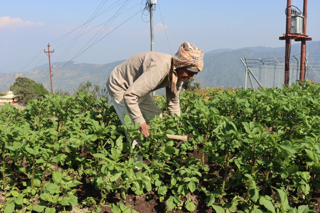 ९० वर्षको उमेरमा पनि कृषि र पशुपालनमा सक्रिय भट्ट