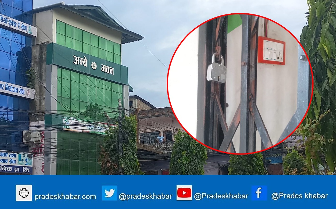 इटहरीको अम्बे सहकारीका ५६ प्रतिवादीमध्ये ३३ जना अहिले पनि फरार सूचीमा