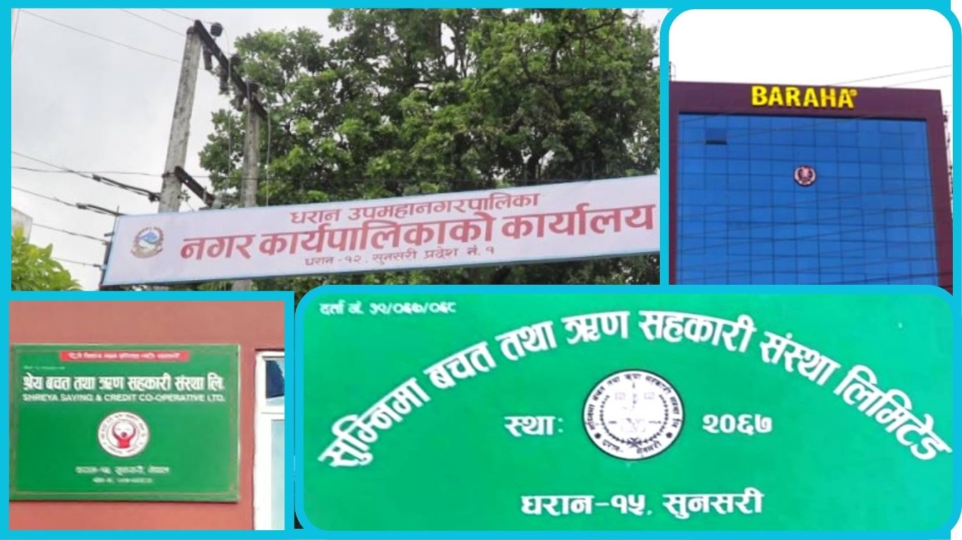 धरानमा सहकारीबाट अर्बौँको ठगी, ८७ वटामध्ये २५ वटा बन्द:चलाउन नसकेपछि धमाधम निष्क्रिय बन्दै सहकारी