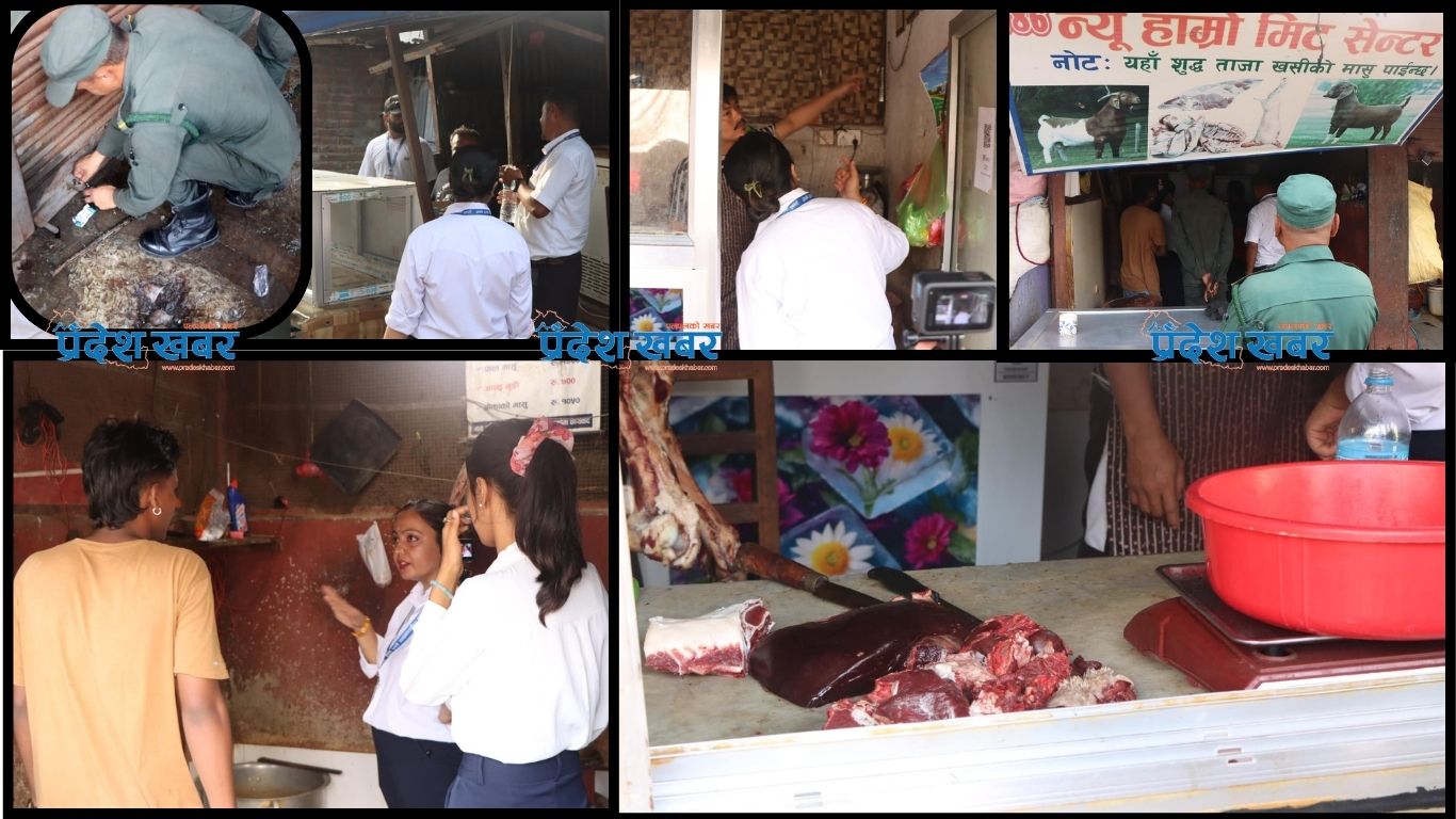 १० महिनामा २३० व्यवसाय अनुगमन : डिपार्टमेन्ट स्टोर देखि होटल हुँदै मन्टेस्वरीसम्मलाई कारबाहीको डन्डा