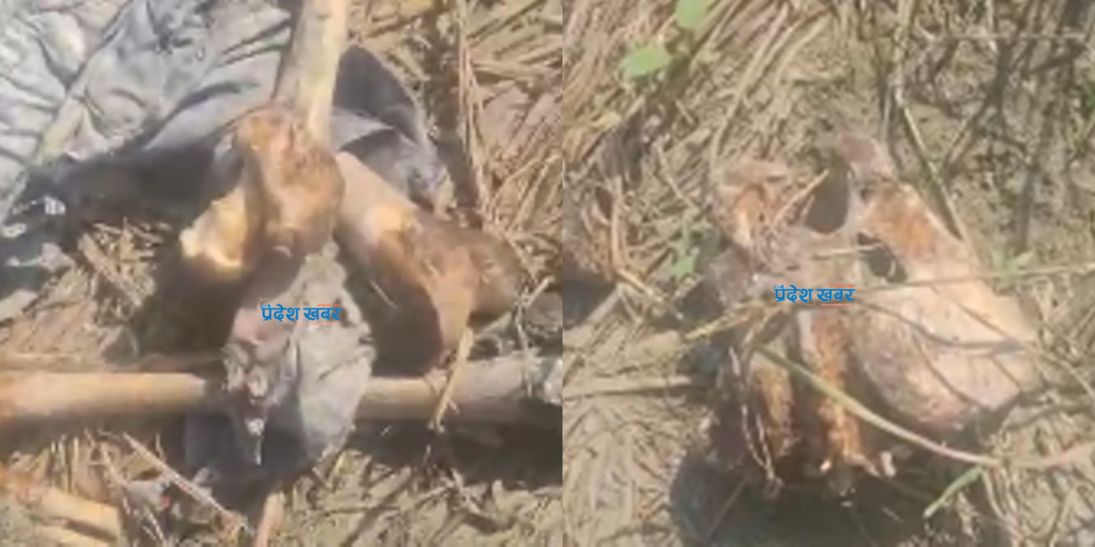 बूढीगंगामा छरपस्ट अवस्थामा भेटियो मानव कंकाल फेला