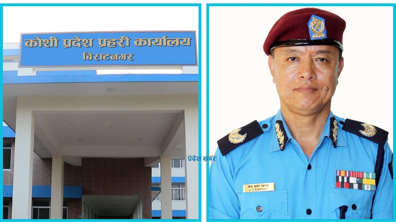 कोशी प्रदेश : ठूला चाडपर्वमा दुई सय ९३ वटा अपराधका घटना