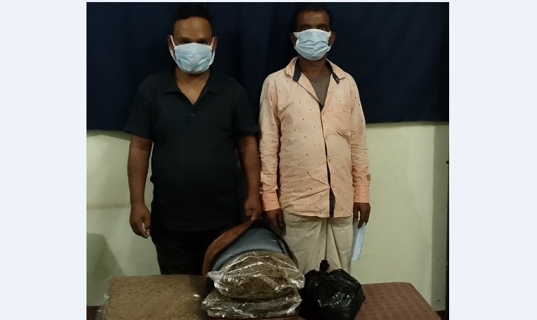 मोरङमा गाँजासहित दुई जना पक्राउ