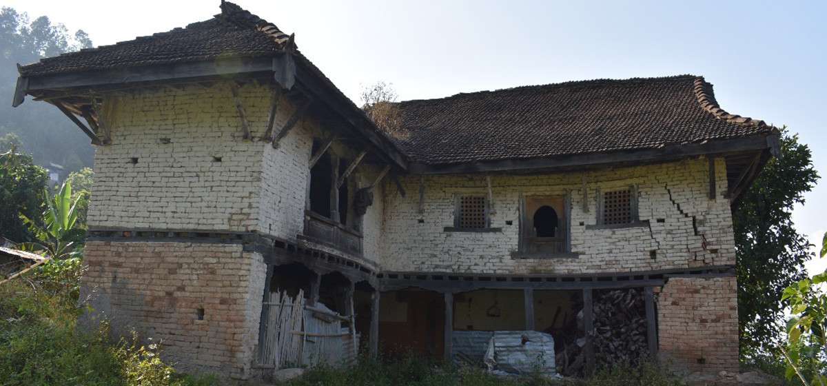 झिँगटीले छाउने कालिगड पाउनै मुस्किल, देखिन छाडे झिँगटीले छाएका घर