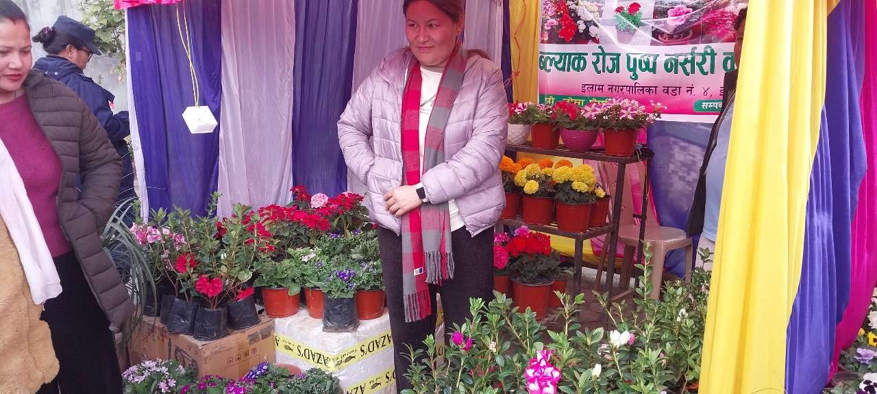 इलाममा दुई दिने कृषि महोत्सव
