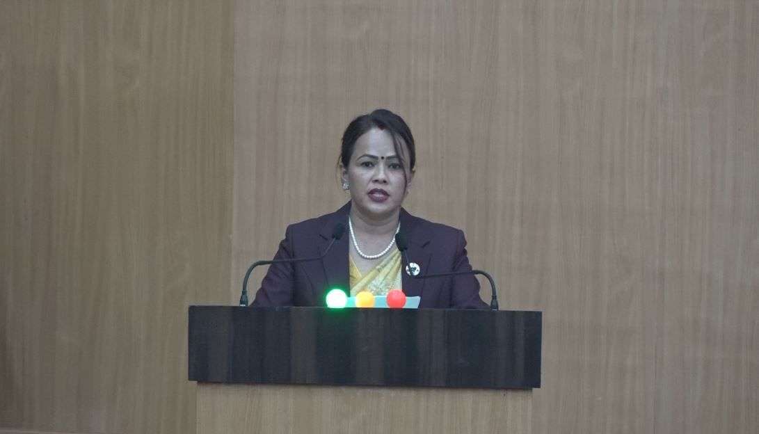 पाथीभरा केबलकार विवाद समाधानका लागि मध्यस्थता गर्न माग  