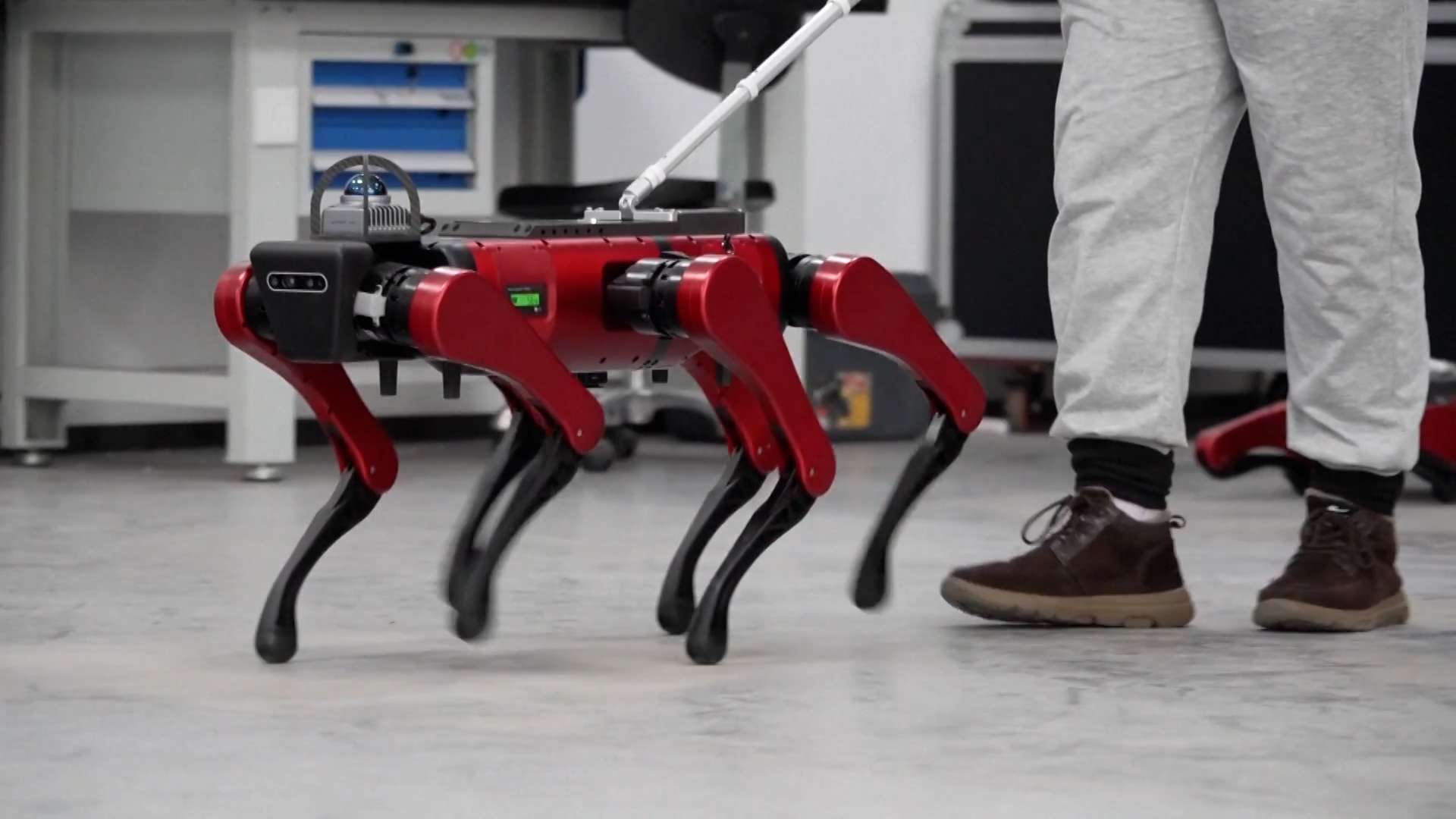 ६ खुट्टा भएको रोबोट कुकुरको अन्टार्कटिकामा परीक्षण 