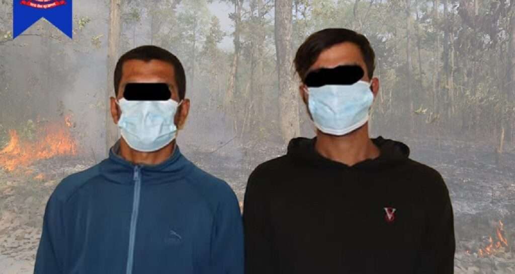 वनमा डडेलो लगाउने २ जना पर्वतबाट पक्राउ