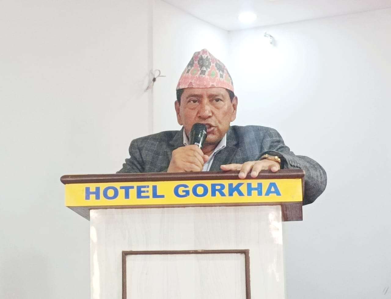 अहिलेको सरकार निरकुंश सरकार हो : वरिष्ठ उपाध्यक्ष श्रेष्ठ