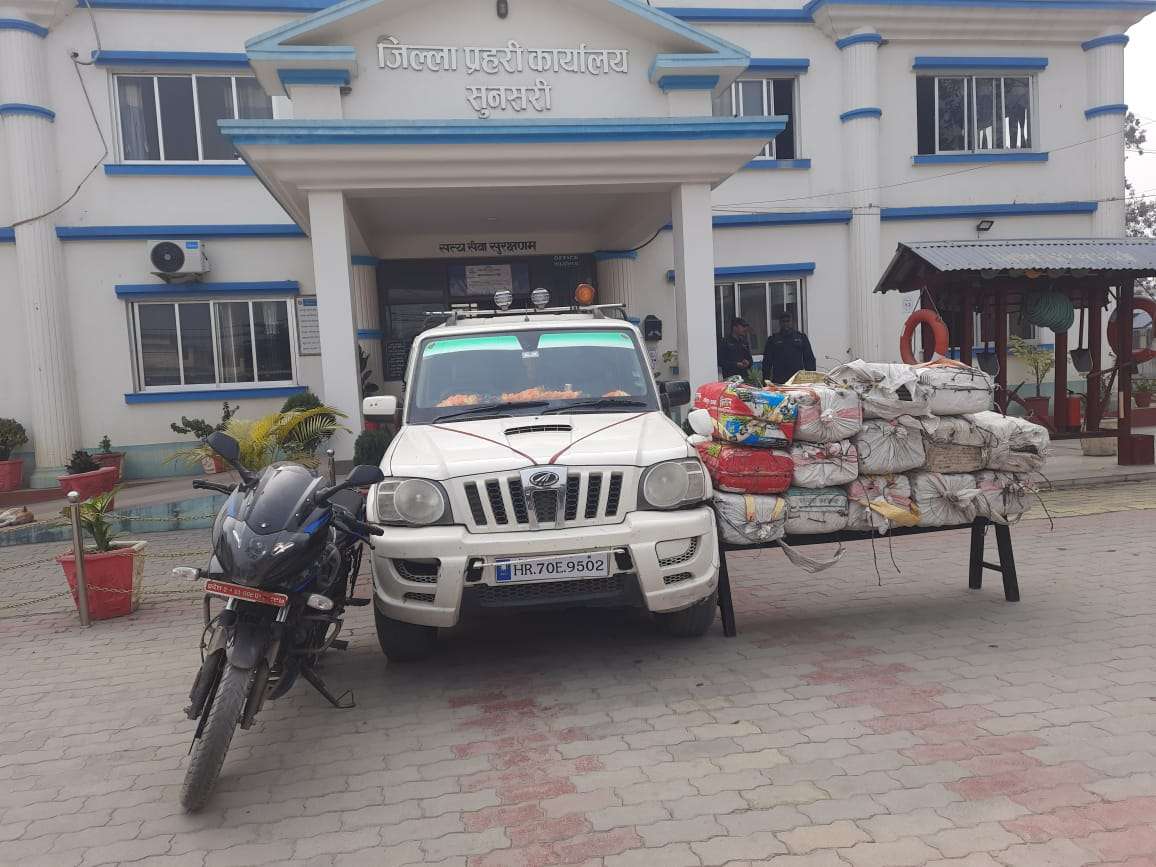 सुनसरीमा २९६ केजी गाँजा बरामद