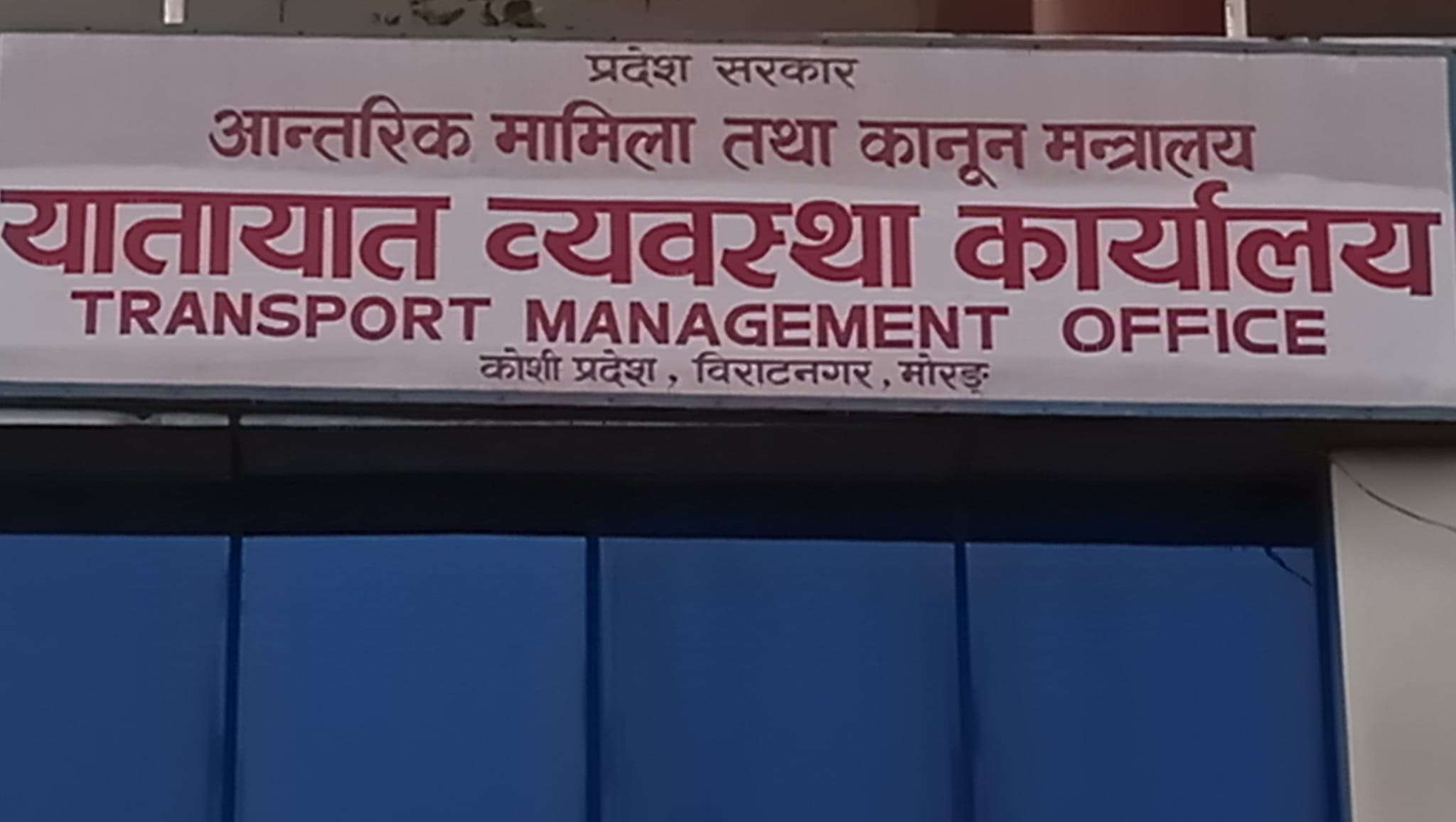यातायात कार्यालय विराटनगरबाट १२ बिचौलिया पक्राउ