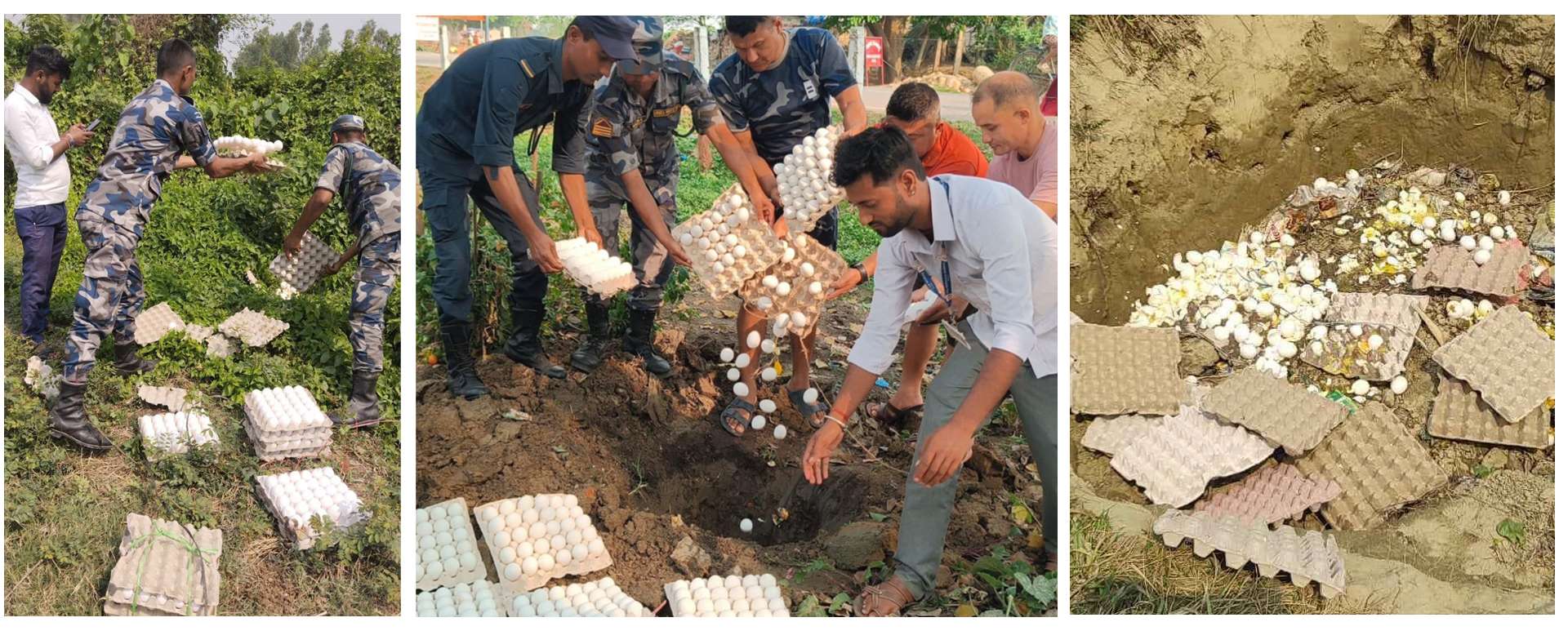 मधेश प्रदेशमा अवैध ढङ्गले भित्रिने सेतो अण्डा नष्ट गर्ने अभियानमा सशस्त्र प्रहरी