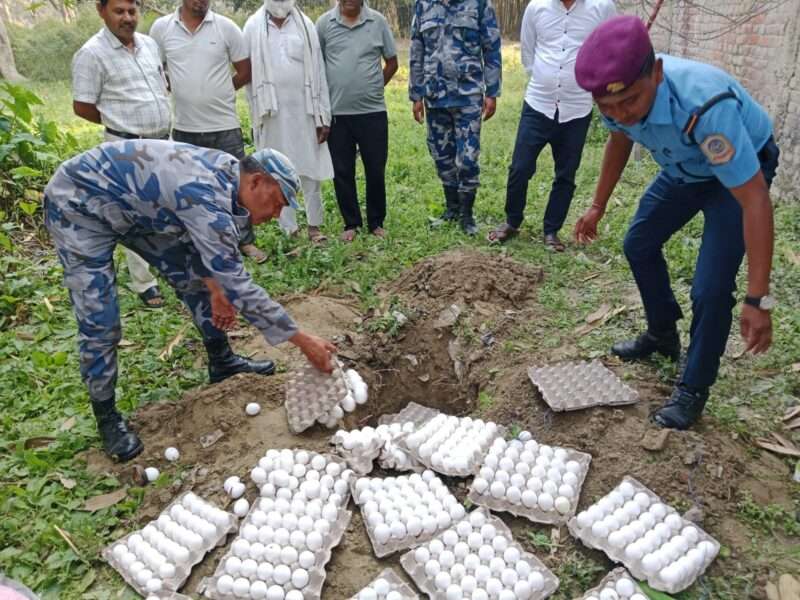 मुख्यमन्त्री निर्देशनपछि सेतो अण्डा बरामद गरी नष्ट गर्दै सशस्त्र