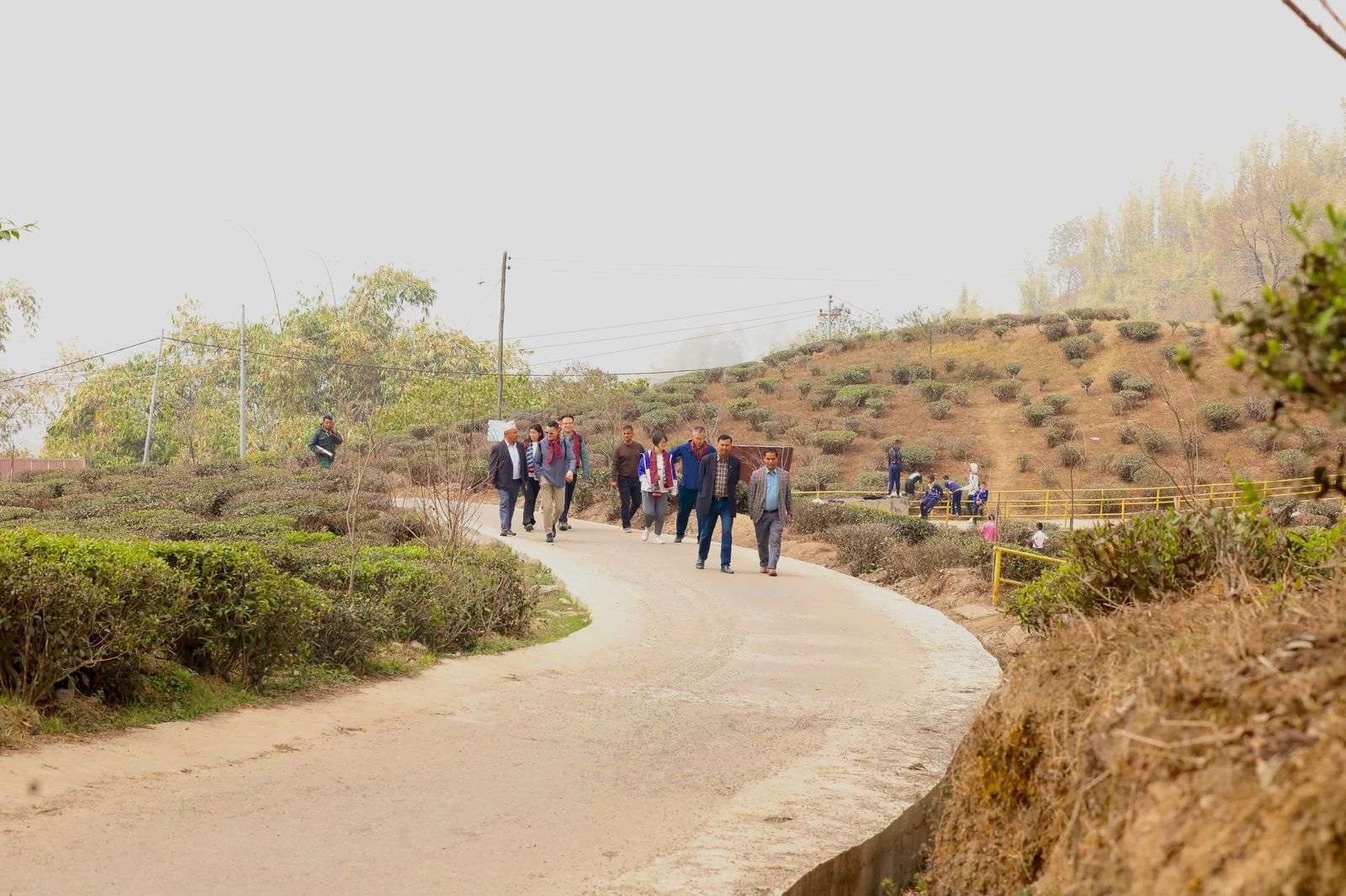 नेपालको चिया हेर्न चीनको टोली नेपालमा, इलाममा बगान तथा उद्योगको अध्ययन
