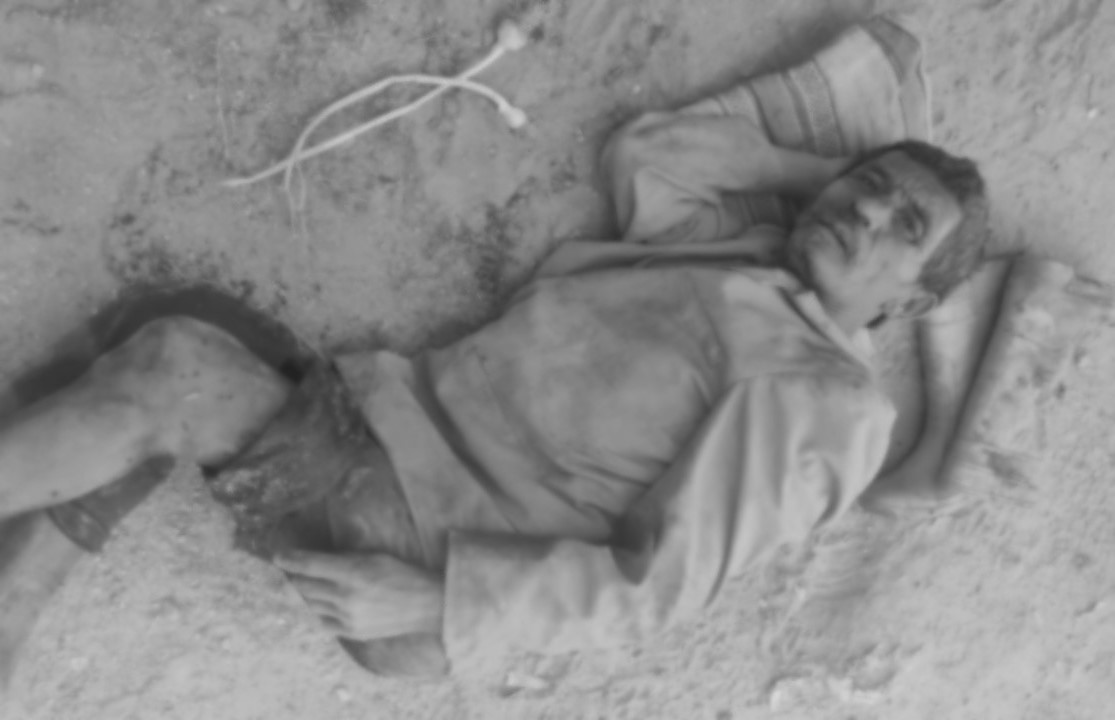 मोरङमा कुकुरको टोकाइबाट एकको मृत्यु